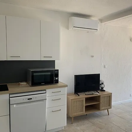 Appartamento T2 : A 50m De La Plage, Proche Du Port, Jardinet Privatif, Ideal Familles - Fr-1-335-202 *